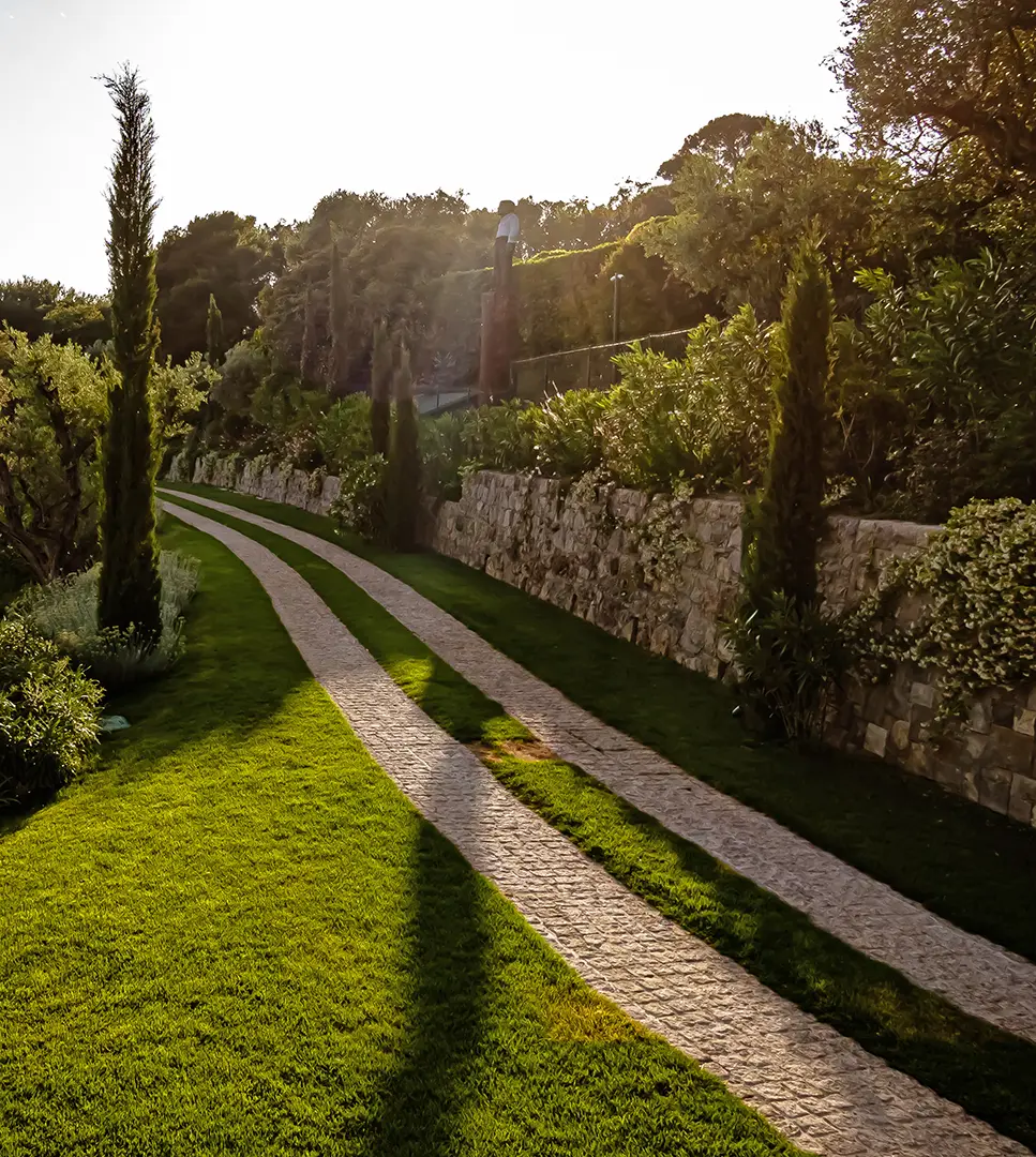 Mas de Pibonson Detail 13